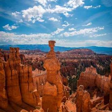 KAKEHASHI スポーツオークション